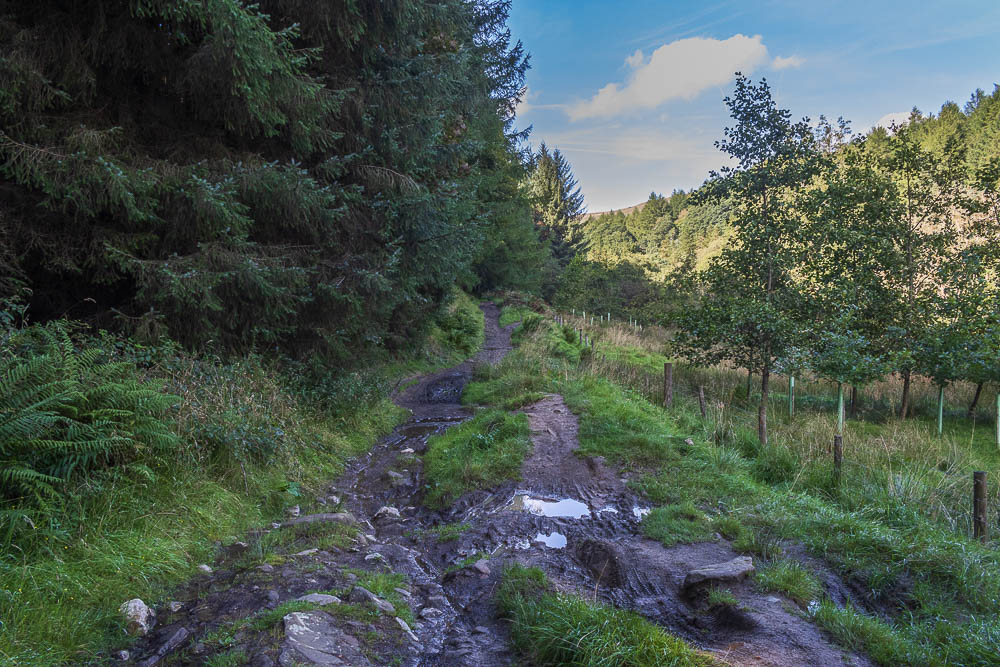 Woodlands Valley Woodlands Valley